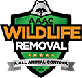 Stoughton Wildlife Removal